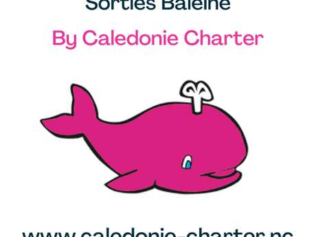 Sorties Baleines by Calédonie Charter
