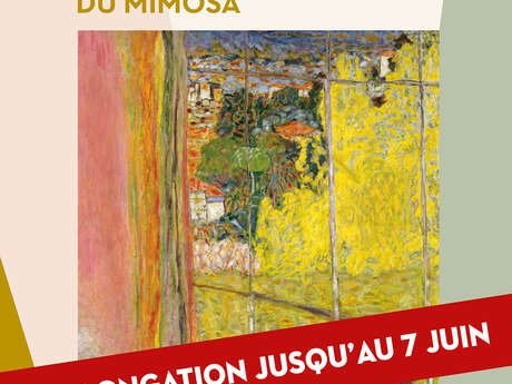 Bonnard – Die Sammlungen. Es ist Zeit für Mimosen.