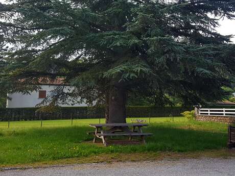 Aire de pique-nique de Pont-Lagrand