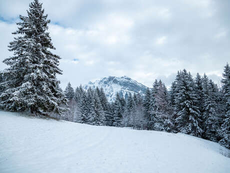 Route sneeuwschoenwandelen : Les Allamands