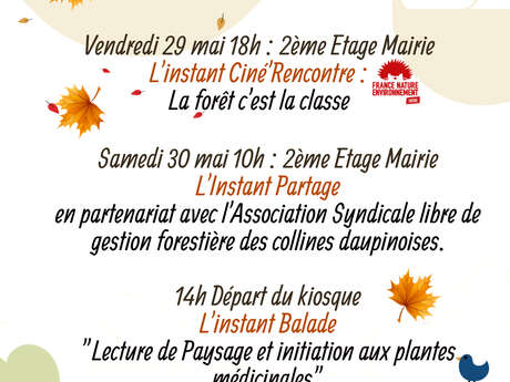 La forêt : Un bien commun à préserver