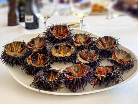Excursion en bus aux Oursinades à Carry Le Rouet