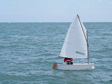 Les voiles des vignerons