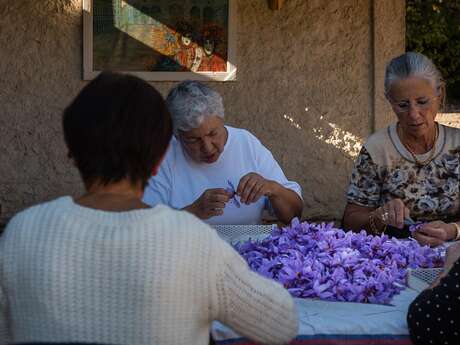 La Safranière du Mirandolier