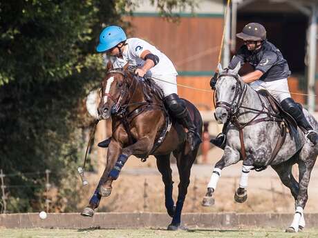 Tournoi de polo - Women polo series