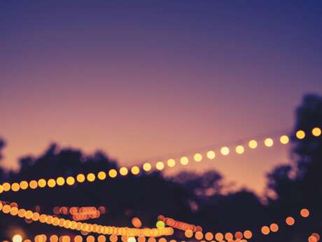 Festival de la Camargue - Soirée officielle d'ouverture en musique