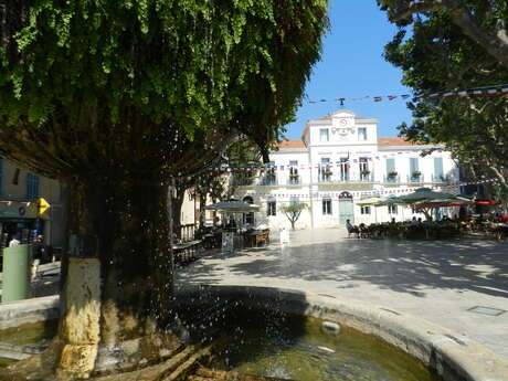 Fontaine moussue/La grande fontaine