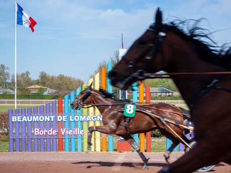 Courses hippiques - 14h30