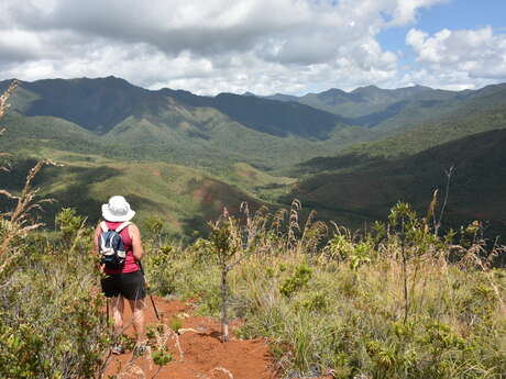 GR® NC1 Stage n°4B :  from Ouénarou to the Tristaniopsis refuge (by the ridges)