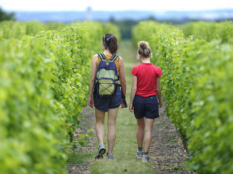 Domaine de la Tuffière