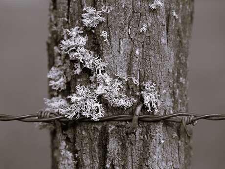 "La trace laissée par l'homme dans son environnement" - Expo photo