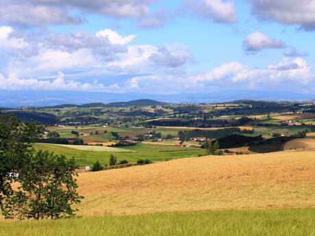 Sentier du But de Samson