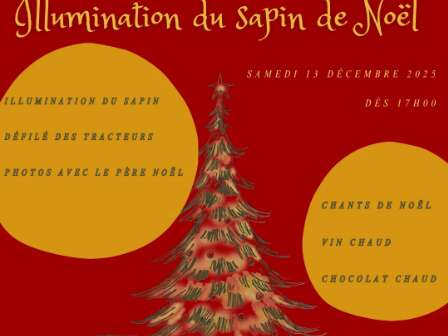 Illumination du Sapin de Noël