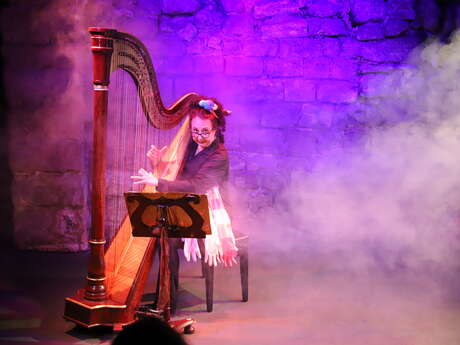 Humour musical - Sophie la harpiste