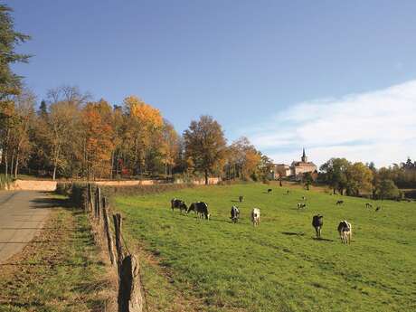 L'excursion montagnarde