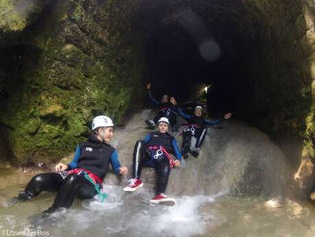 Lézard des bois - Accompagnateur en montagne, moniteur escalade / canyon