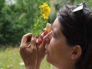 Demi-journée reconnaissance de plantes avec Anne MERRY