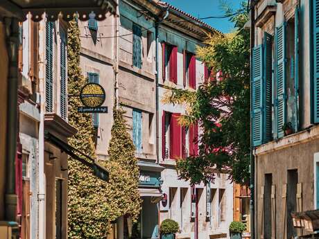 Saint-Rémy-de-Provence & Les Baux-de-Provence