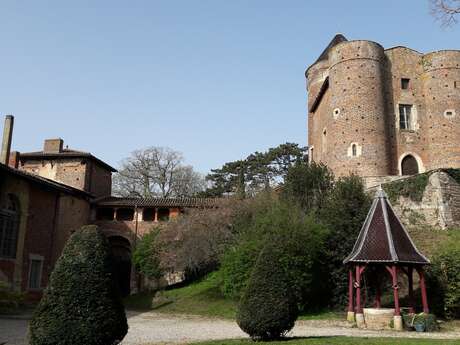 Visite du château du Montellier