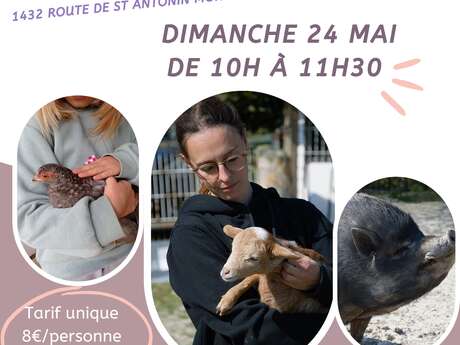 Visite à la ferme animalière des Pibouls