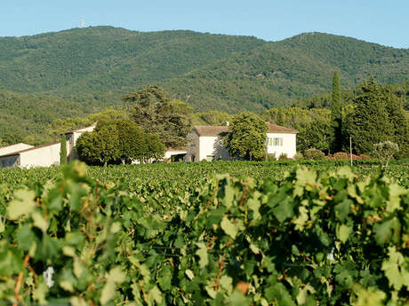 Domaine de Rimauresq