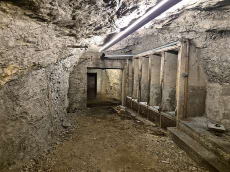 Visite thématique - Abri antiaérien Nézin - Albert Perriol
