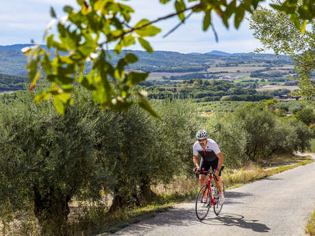 Cyclo n°5 - Le tour de la montagne de Lure