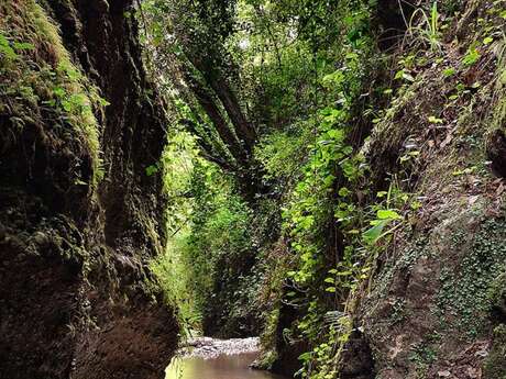 Randonnée découverte du vallon obscur des Vallières