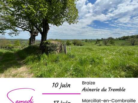 Balade gourmande à Braize
