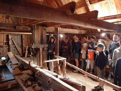 Guided tour of the old hydraulic sawmill