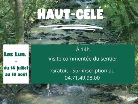 Balade accompagnée sur les sentiers des trésors du Haut-Célé Balade accompagnée sur les sentiers des trésors du Haut-Célé