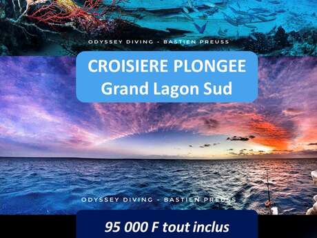 Croisière plongée grand lagon sud