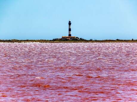 Spaziergang durch die Saline