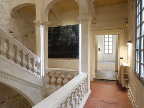 Fondation Manuel Rivera - Ortiz