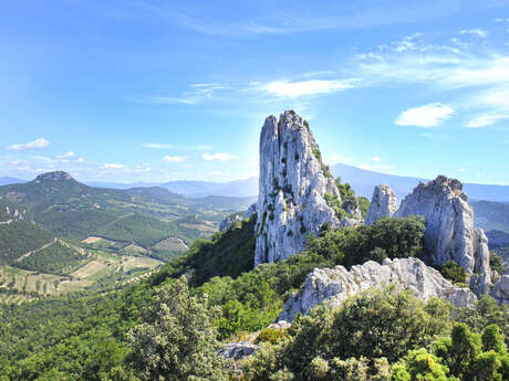Au coeur des Dentelles de Montmirail