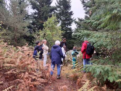 Balade contée des mégalithes - animation famille