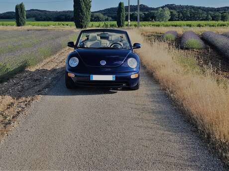 Var cheveux au vent - Location de véhicules