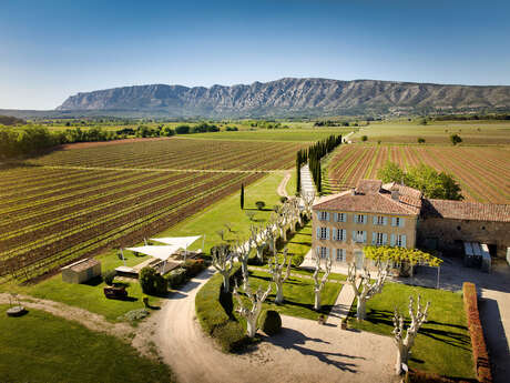 Les musicales dans les vignes