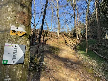 Parcours trail 9 - Les secrets de la Coise