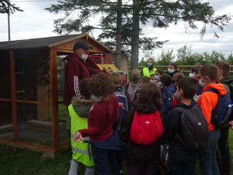 Tout connaître du pigeon - visite