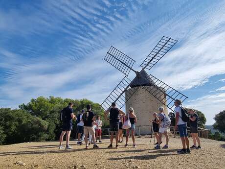 Nature tour in Porquerolles, Pirate plants and natural treasures of Porquerolles