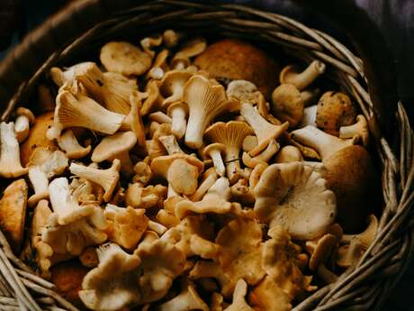 Champignons en fête