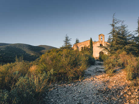 Idée balade : Chemin de pelerinage entre Cucuron et Vaugines