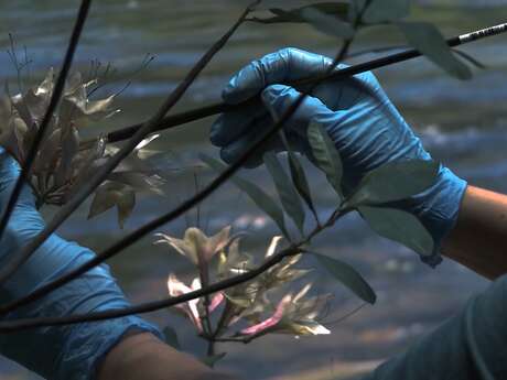 Soirée Astrale #19 Printemps