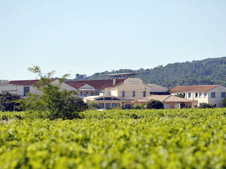Maison Sérina – Les Coteaux du Rhône