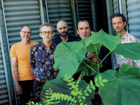 TRAM Concert Alligator