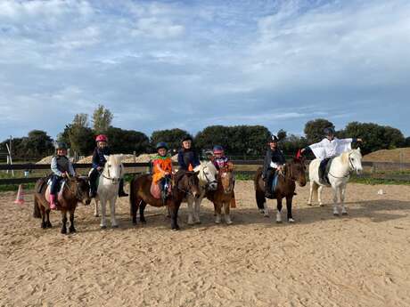 Feiere deinen Geburtstag in Les Écuries de Loix