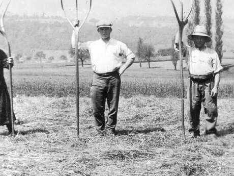 Conference – A Year in the Countryside: The Highlights of Rural Life in the Past