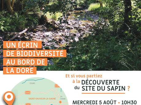 Un écrin de biodiversité au bord de La Dore - randonnée guidée