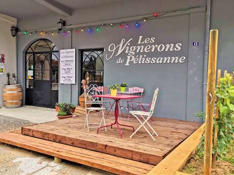 Visite commentée du sentier vigneron de Pélissanne